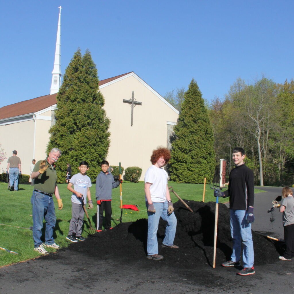 Gold Rush - January, 2025