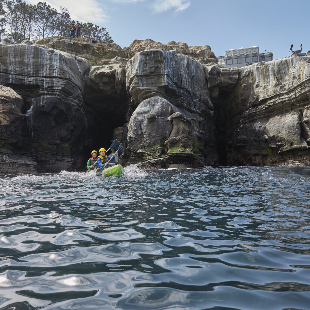 Gold Rush - January, 2025